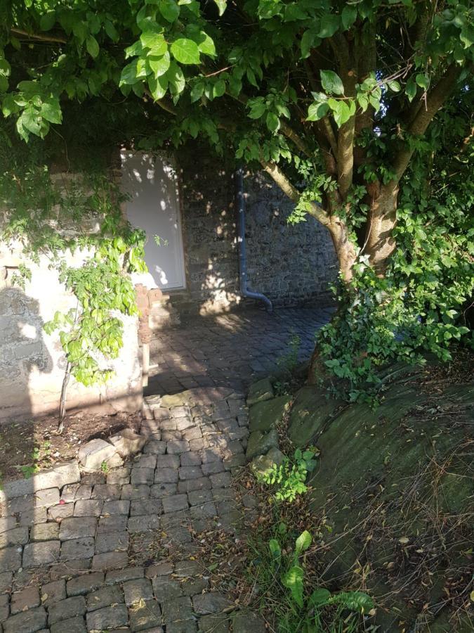 Elevage De La Hurie Saint-Nicolas-de-Pierrepont Exterior foto
